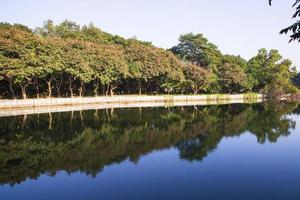 paisaje natural ver el reflejo de los árboles en el agua del lago contra el cielo azul foto
