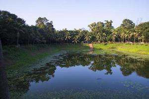 Natural landscape view Reflection of trees in the lake water against blue sky photo