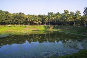 Natural landscape view Reflection of trees in the lake water against blue sky photo