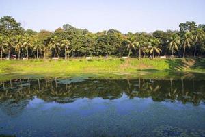 Natural landscape view Reflection of trees in the lake water against blue sky photo