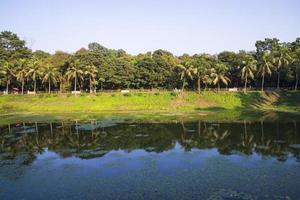 Natural landscape view Reflection of trees in the lake water against blue sky photo