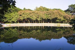 Natural landscape view Reflection of trees in the lake water against blue sky photo