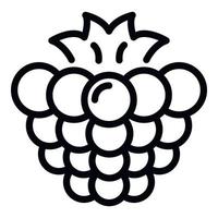 Natural blackberry icon, outline style vector