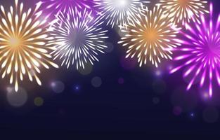 Fireworks in the Sky Background vector