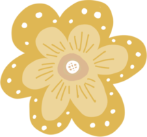 tropisk blomma och blad illustrationer png