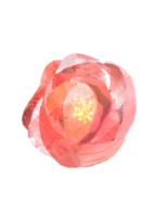 fleur blommig vattenfärg illustration png