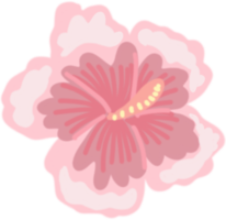 Ilustraciones de flores y hojas tropicales png