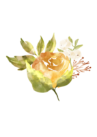 fleur floral illustration aquarelle png