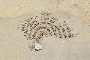 Travel to Krabi, Thailand. The traces of the crabs on the sand beach. photo