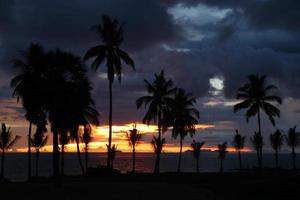 viajar a la isla de koh lanta, tailandia. árbol de palmeras en el fondo de la colorida puesta de sol, cielo nublado y un mar. foto