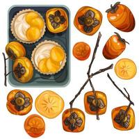 un conjunto de caquis dibujados, diferentes variedades y ángulos. caqui en una rama. postre de vainilla con frutas vector