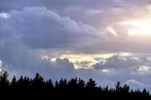 Sunlight breaking through gap in storm clouds against dark silhouette pine forest. photo