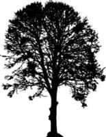 Tree silhouette vector for the website, for printing. Vector graphics.