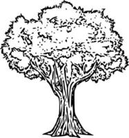 vector de silueta de árbol para el sitio web, para imprimir. gráficos vectoriales