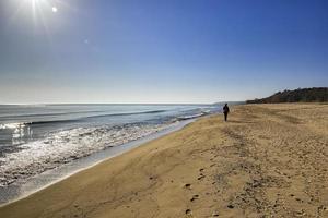 woman in summer walking in the sand by the sea beach photo