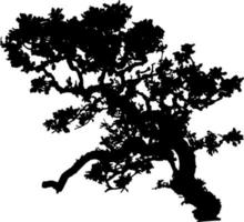 vector de silueta de árbol para el sitio web, para imprimir. gráficos vectoriales