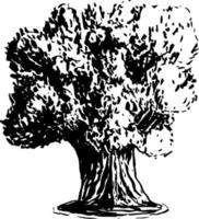 Tree silhouette vector for the website, for printing. Vector graphics.