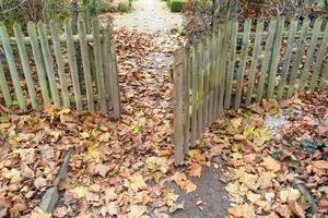 fence with wooden gate in a garden photo