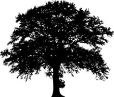 Tree silhouette vector for the website, for printing. Vector graphics.