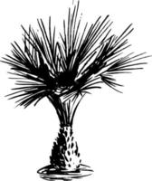 Tree silhouette vector for the website, for printing. Vector graphics.