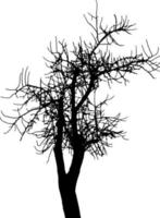 Tree silhouette vector for the website, for printing. Vector graphics.