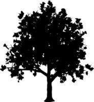 vector de silueta de árbol para el sitio web, para imprimir. gráficos vectoriales