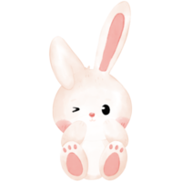 little bunny watercolor illustration png