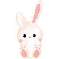 liten kanin vattenfärg illustration png