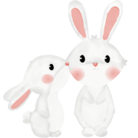 illustration aquarelle petit lapin png