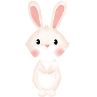 illustration aquarelle petit lapin png