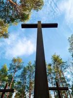 cruces altas entre los árboles en el cementerio militar polaco. monumento a la segunda guerra mundial. foto