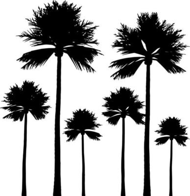 Tree silhouette vector for the website, for printing. Vector graphics.