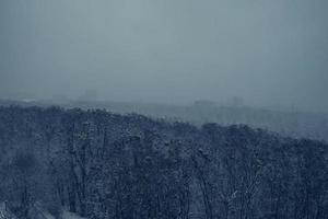 Misty landscape with fir forest in hipster vintage retro style photo