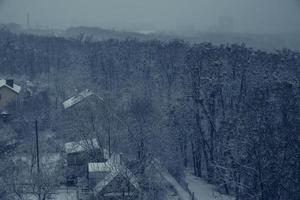 Misty landscape with fir forest in hipster vintage retro style photo