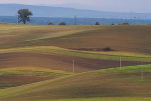 Autumn Landscape  in a Moravian Fields photo