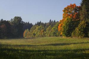 Autumn Landscape With Yellow Leaves on a Sunny Day photo