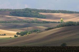 Autumn Landscape  in a Moravian Fields photo