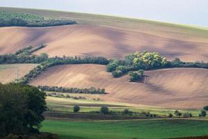 paisaje otoñal en los campos de moravia foto