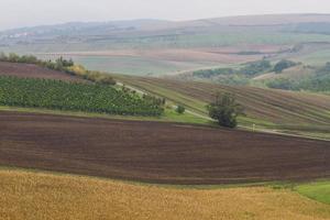 Autumn Landscape  in a Moravian Fields photo