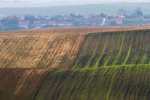 paisaje otoñal en los campos de moravia foto