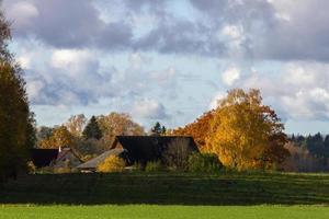 Autumn Landscape With Yellow Leaves on a Sunny Day photo