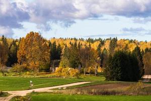 Autumn Landscape With Yellow Leaves on a Sunny Day photo