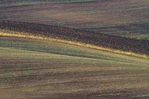 paisaje otoñal en los campos de moravia foto