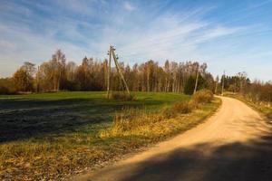 Autumn Landscape With Yellow Leaves on a Sunny Day photo