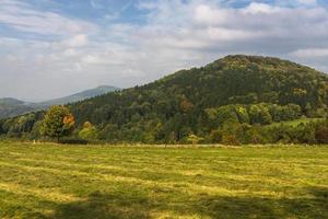 paisaje otoñal con hojas amarillas en un día soleado foto