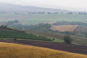 Autumn Landscape  in a Moravian Fields photo