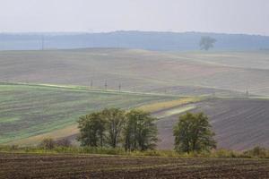 paisaje otoñal en los campos de moravia foto