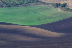 Autumn Landscape  in a Moravian Fields photo