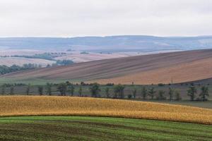 paisaje otoñal en los campos de moravia foto