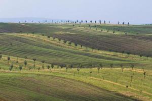 paisaje otoñal en los campos de moravia foto